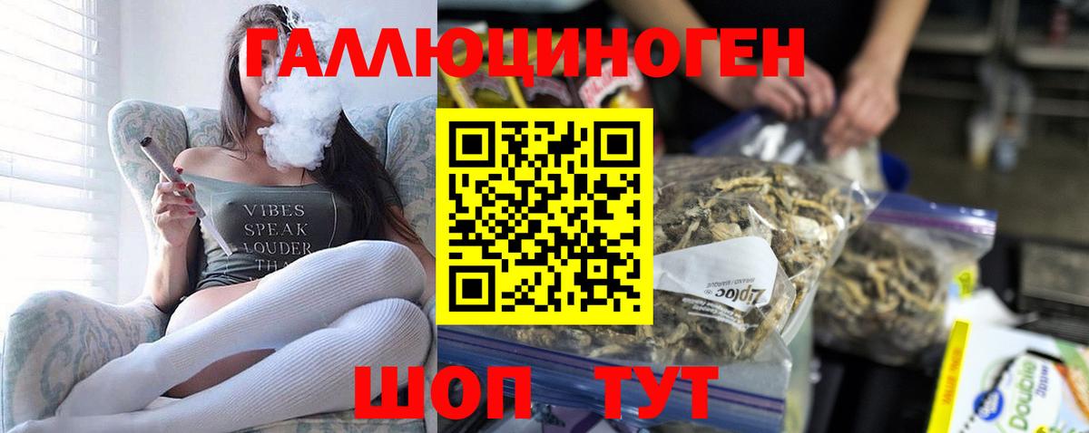 Галлюциногенные грибы Psilocybine cubensis  Псилоцибиновые грибы Psilocybe  Вход с VPN  даркнет сайт  Элиста 